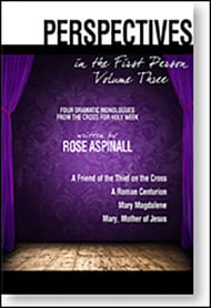 cover Perspectives in the First Person #3 book cover